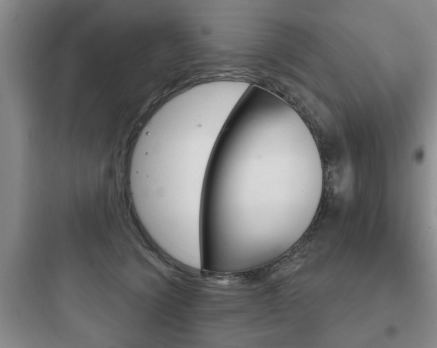 X0000097950564200803241021