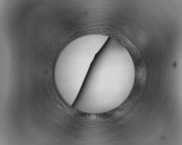 X0000097950565200803241021