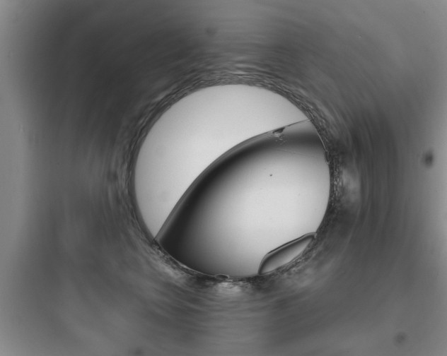 X0000097950566200803241021