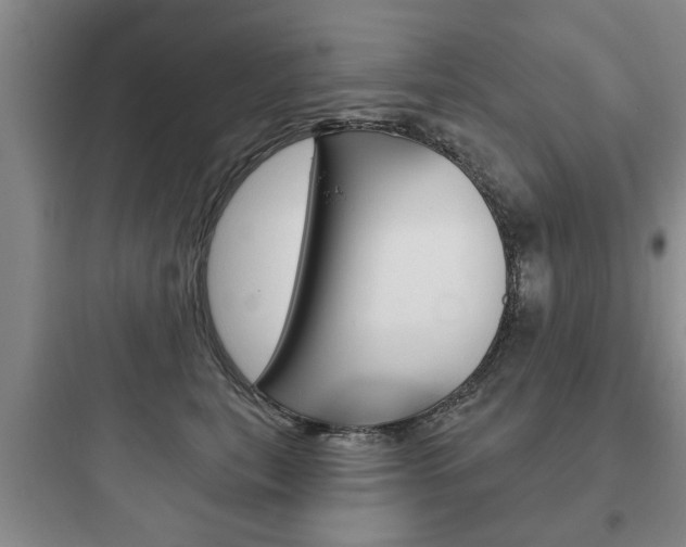 X0000097950567200803241021