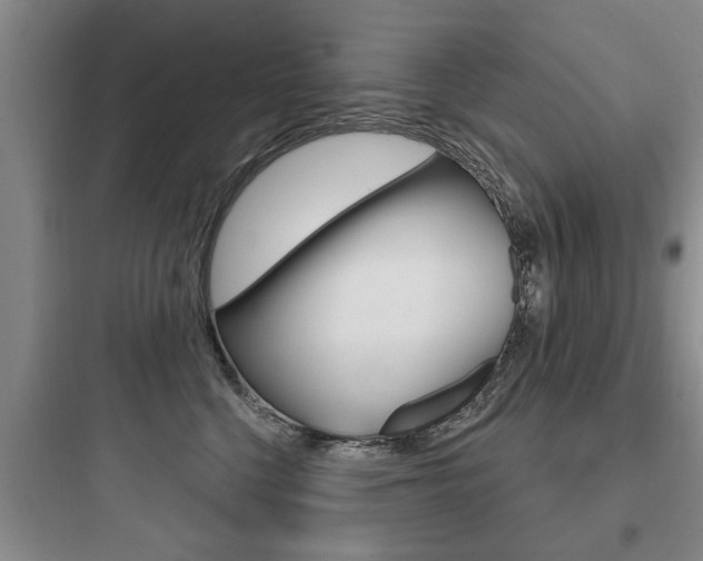 X0000097950568200803241021