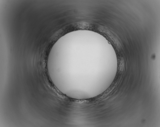X0000097950569200803241021