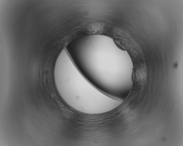 X0000097950570200803241021