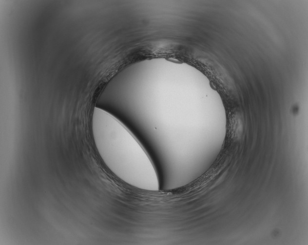 X0000097950571200803241021