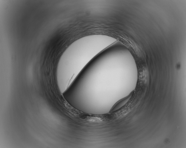 X0000097950572200803241021
