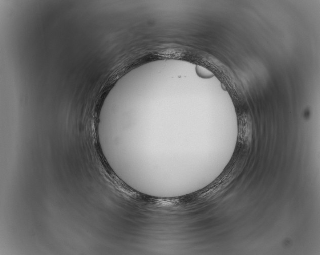 X0000097950573200803241021
