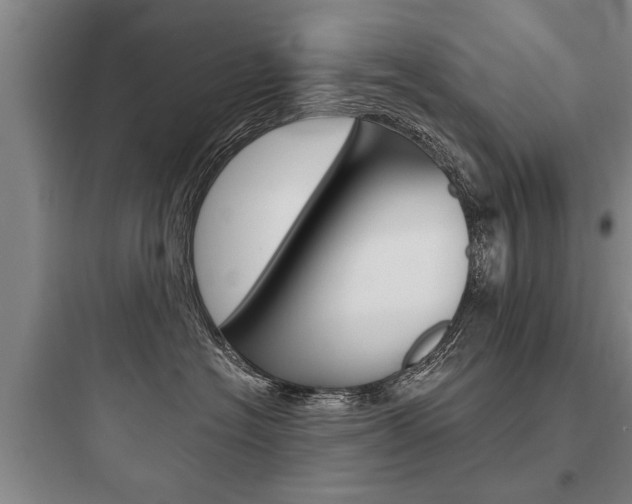 X0000097950574200803241021