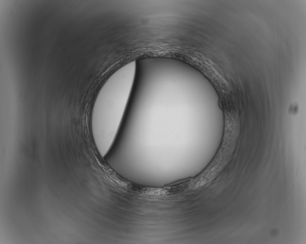 X0000097950576200803241021