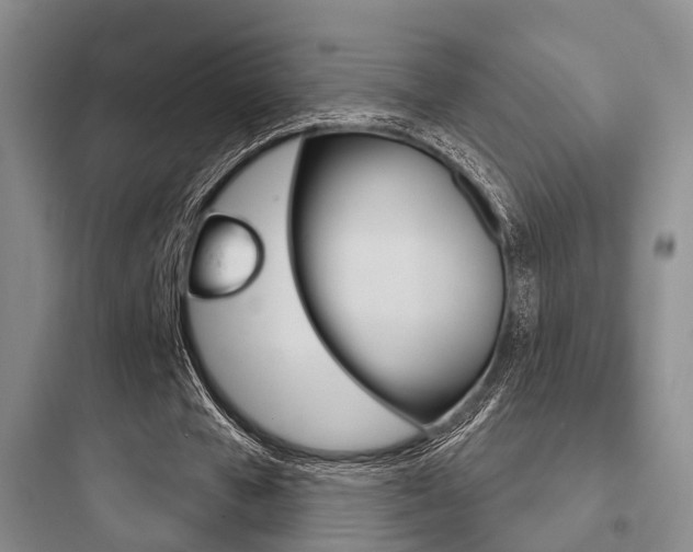 X0000097950577200803241021