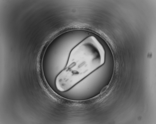 X0000097950581200803241021