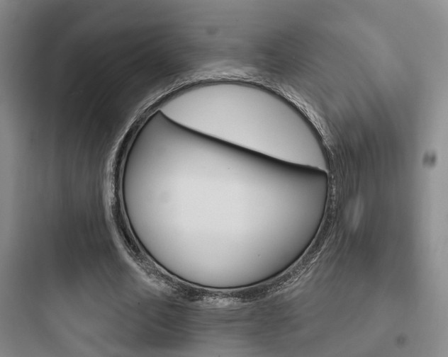 X0000097950582200803241021