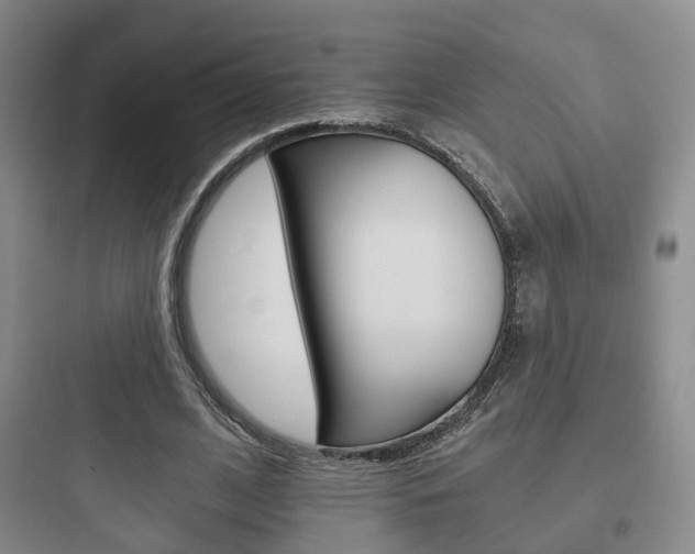X0000097950584200803241021