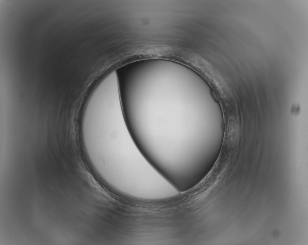 X0000097950585200803241021
