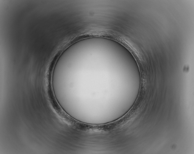 X0000097950586200803241021