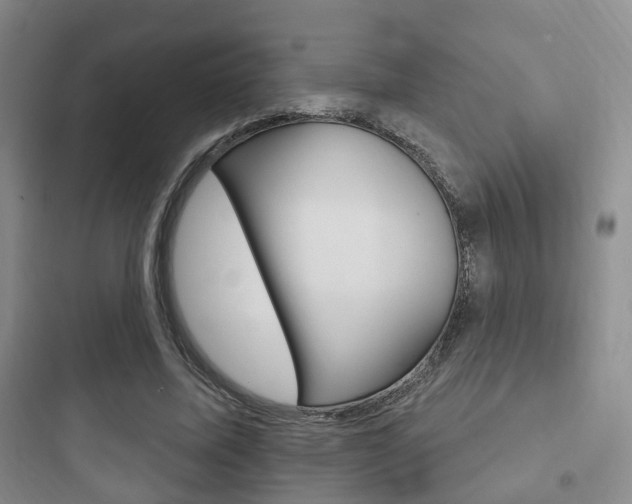 X0000097950587200803241021