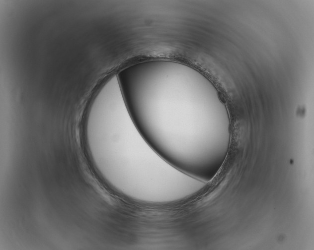 X0000097950589200803241021