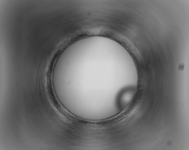 X0000097950590200803241021