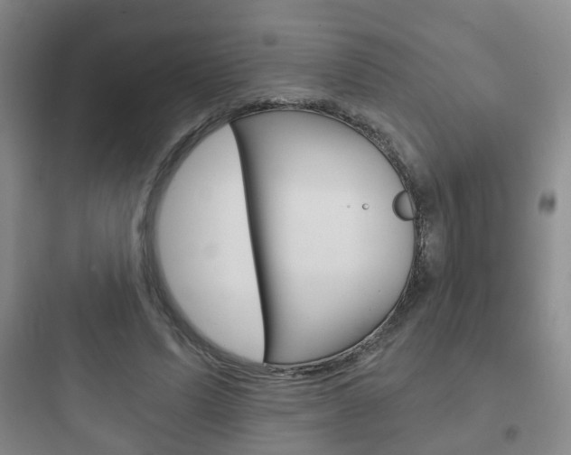 X0000097950591200803241021