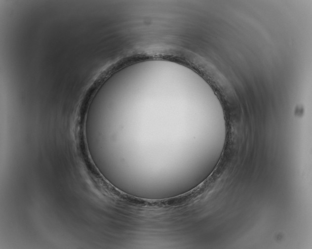 X0000097950592200803241021