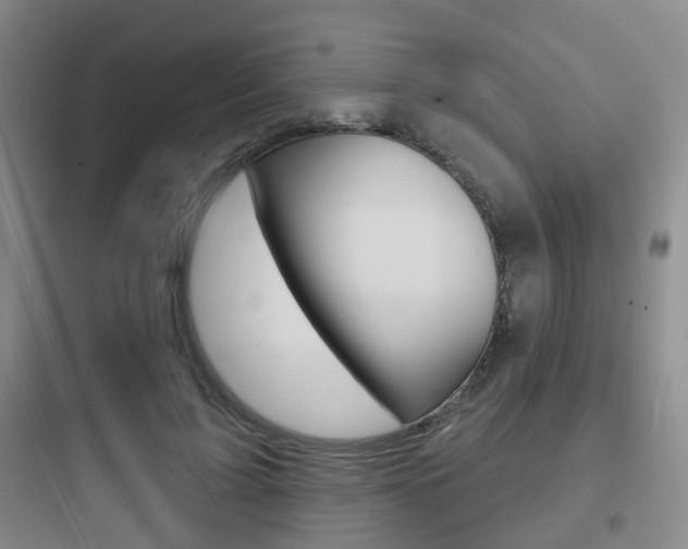 X0000097950595200803241021
