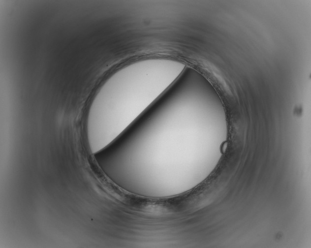 X0000097950596200803241021
