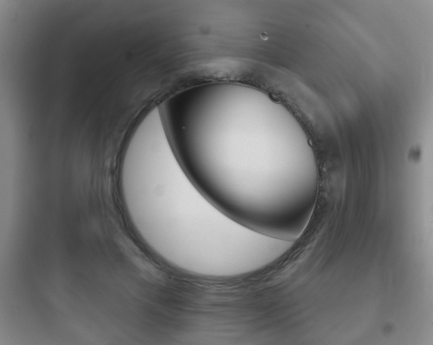 X0000097950597200803241021