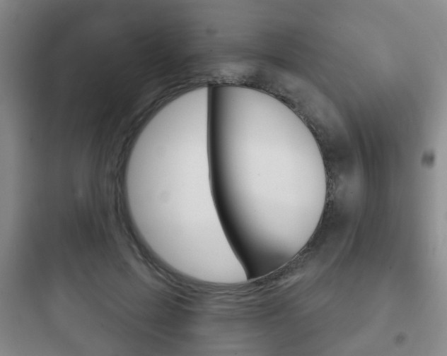 X0000097950599200803241020
