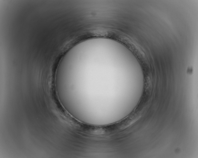 X0000097950600200803241020