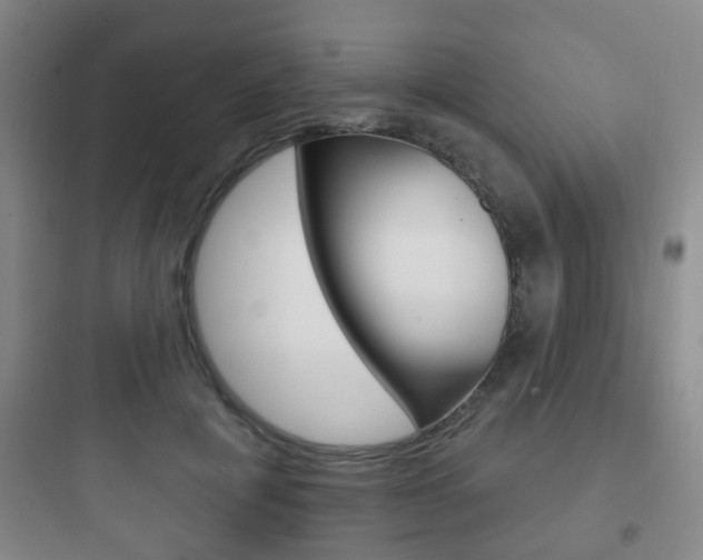 X0000097950601200803241020