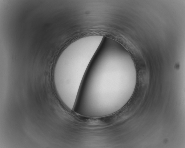 X0000097950605200803241020