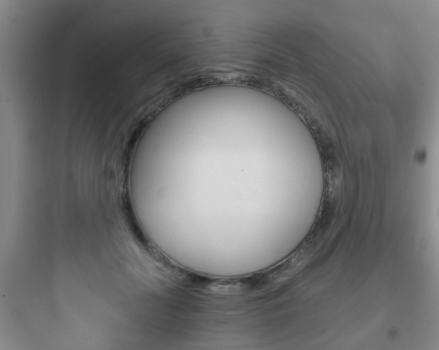 X0000097950606200803241020