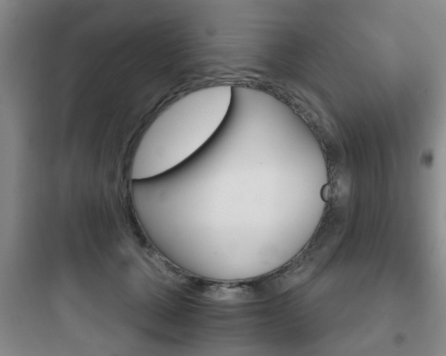 X0000097950607200803241020