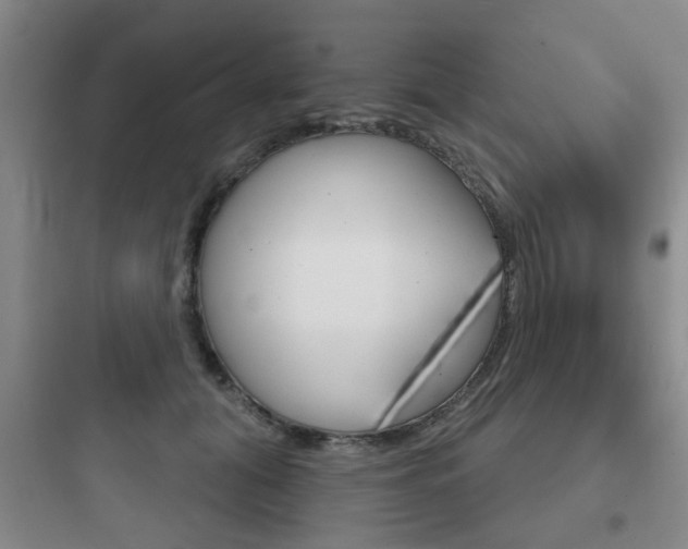 X0000097950608200803241020