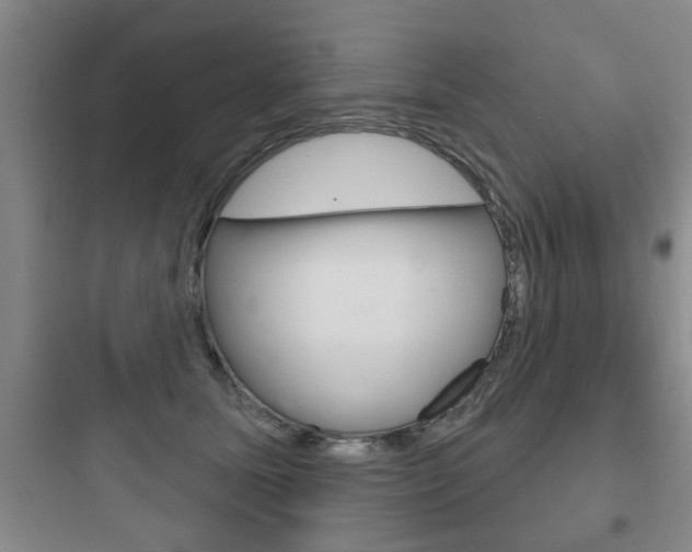 X0000097950611200803241020