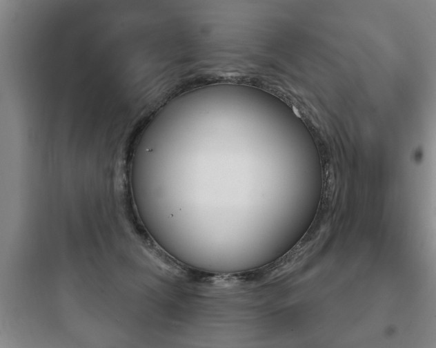 X0000097950612200803241020