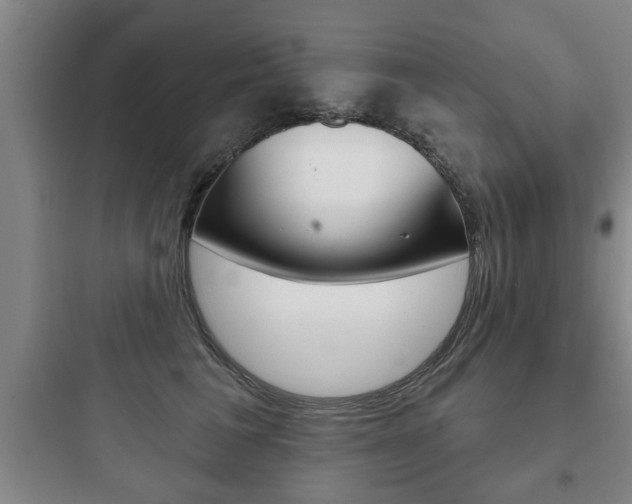 X0000097950613200803241020