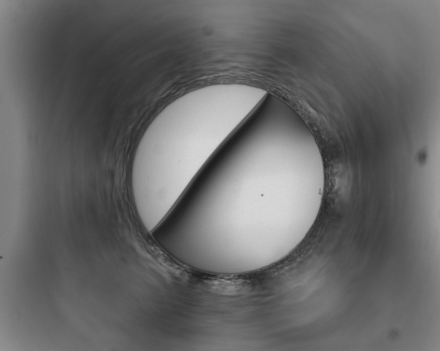 X0000097950615200803241020