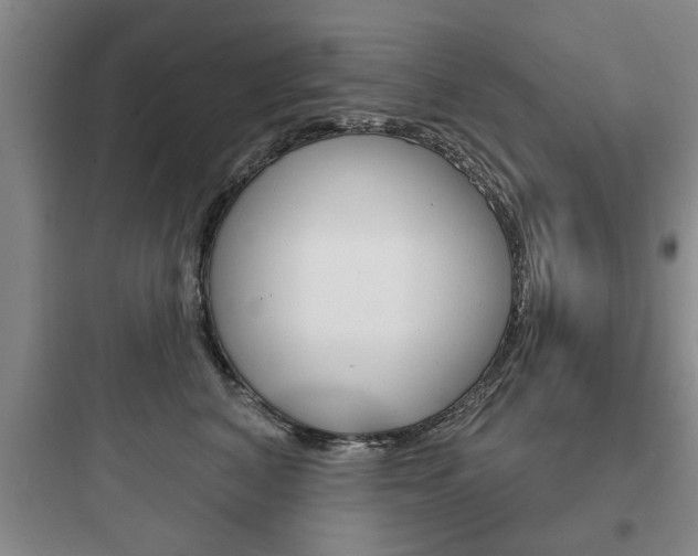 X0000097950616200803241020