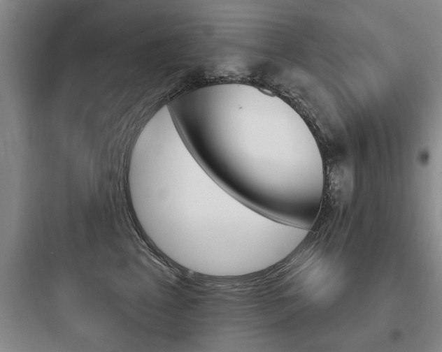 X0000097950617200803241020