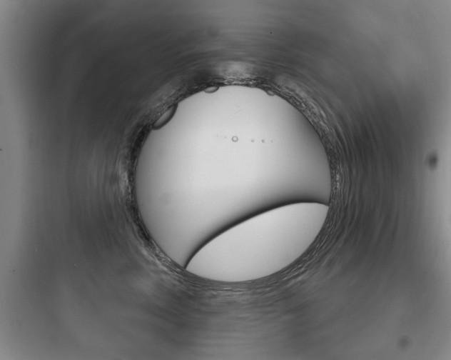 X0000097950618200803241020