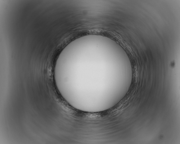 X0000097950619200803241020