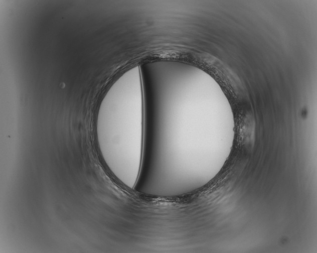 X0000097950620200803241020