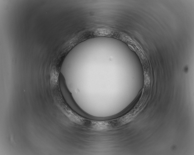 X0000097950621200803241020