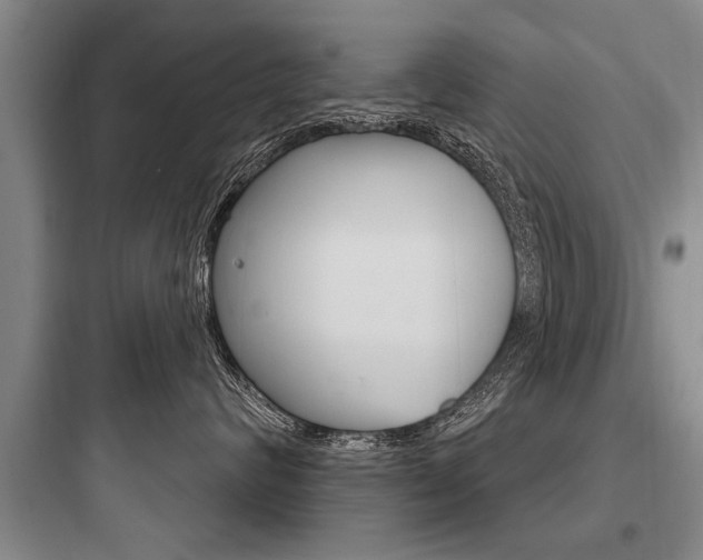 X0000097950624200803241020