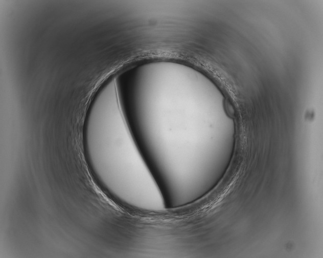 X0000097950625200803241019