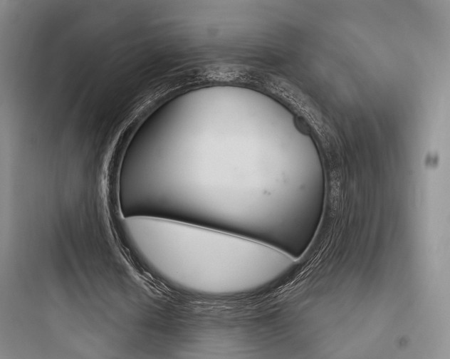 X0000097950626200803241019