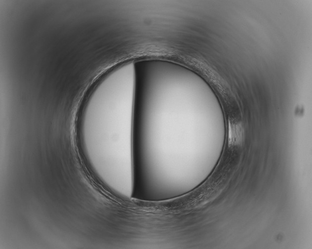 X0000097950627200803241019
