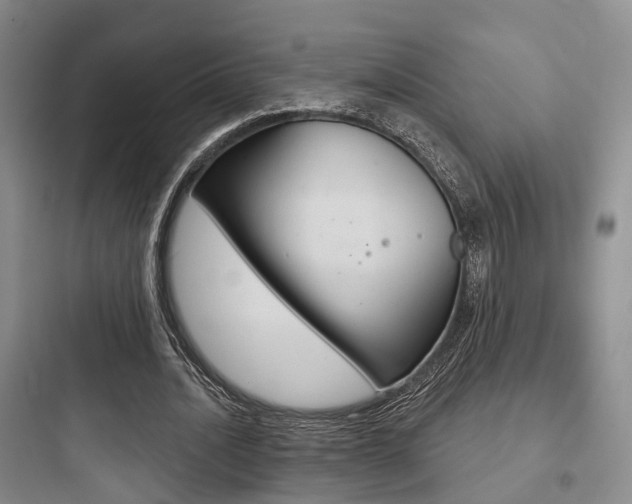X0000097950628200803241019