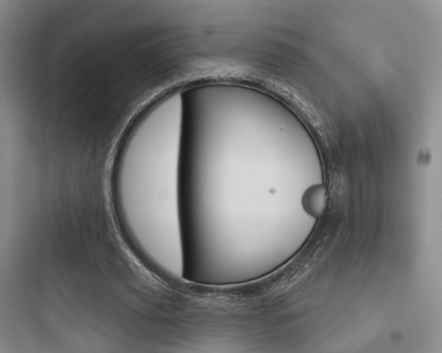 X0000097950629200803241019