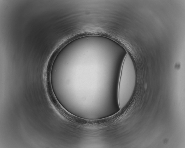 X0000097950630200803241019